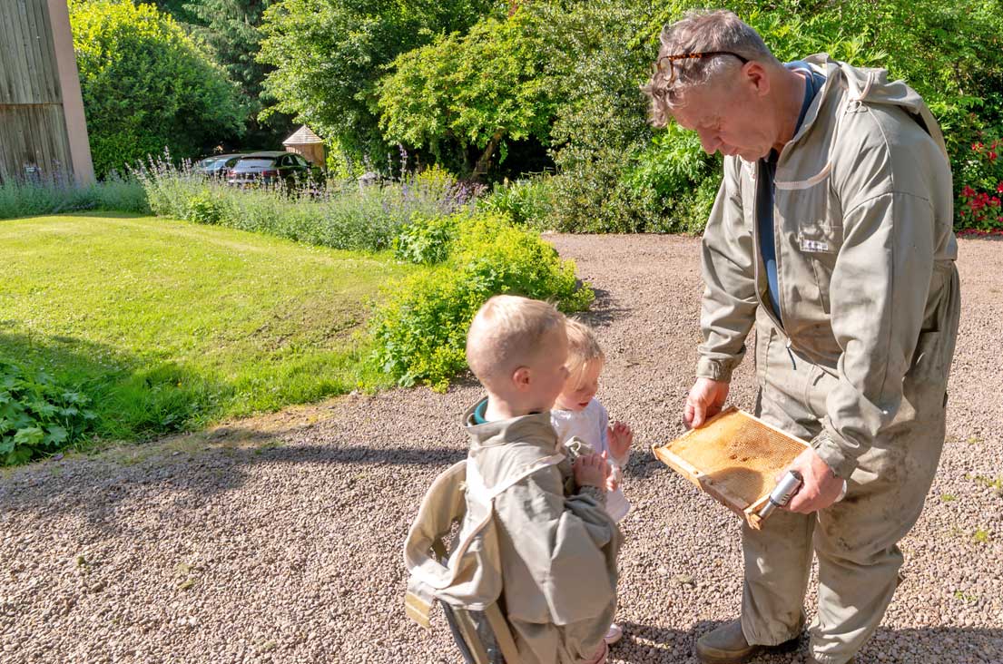 Bamburgh Bee Company - Honey Bee Experiences for all ages.